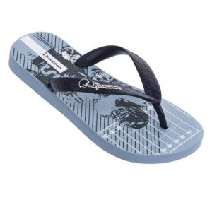 Chinelo Temas XII Ipanema