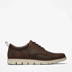 Sapato Bradstreet Timberland