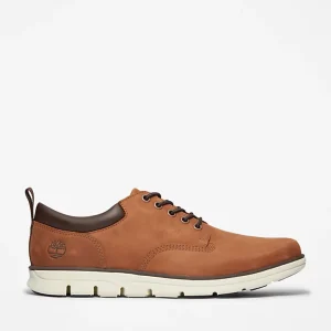 Sapato Bradstreet Timberland