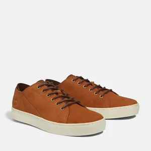 Sapatilha Adventure Timberland