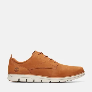 Sapato Bradstreet H Timberland